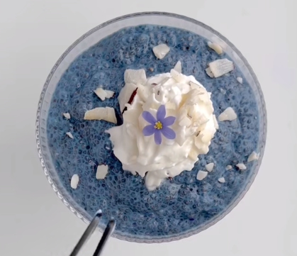 Blue Spirulina Chia Pudding